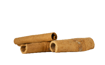 Canela