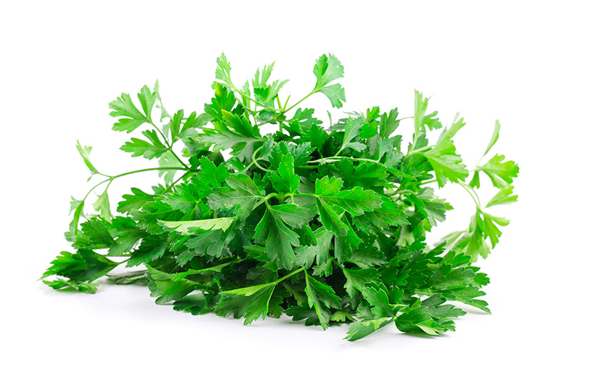 Aromáticas Culinarias