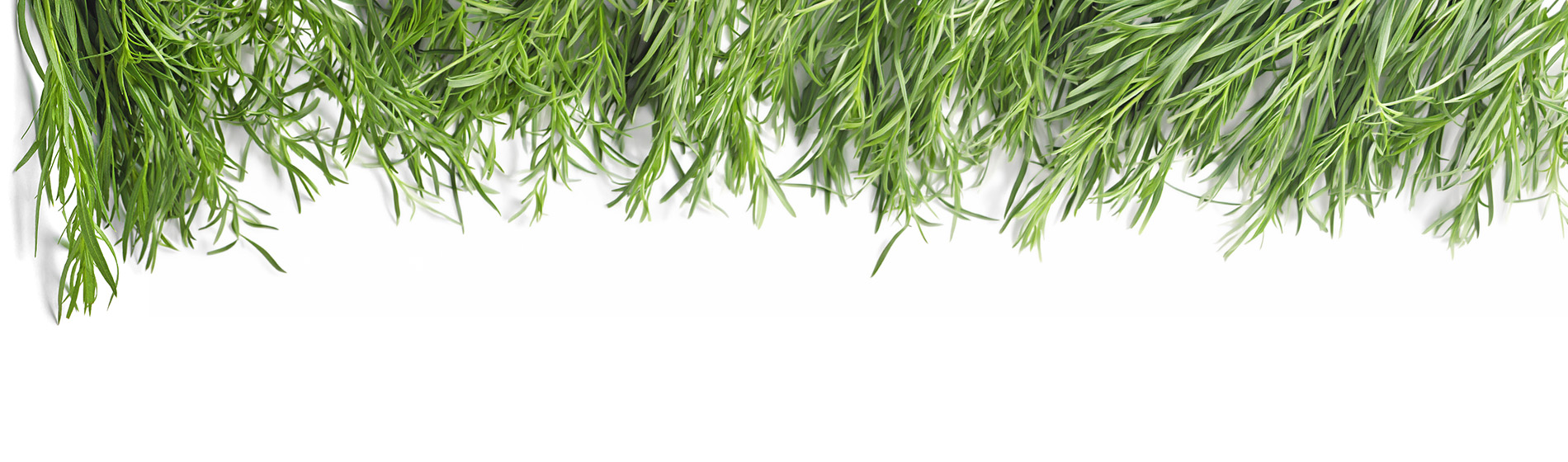 Hierbas Pebema Foods