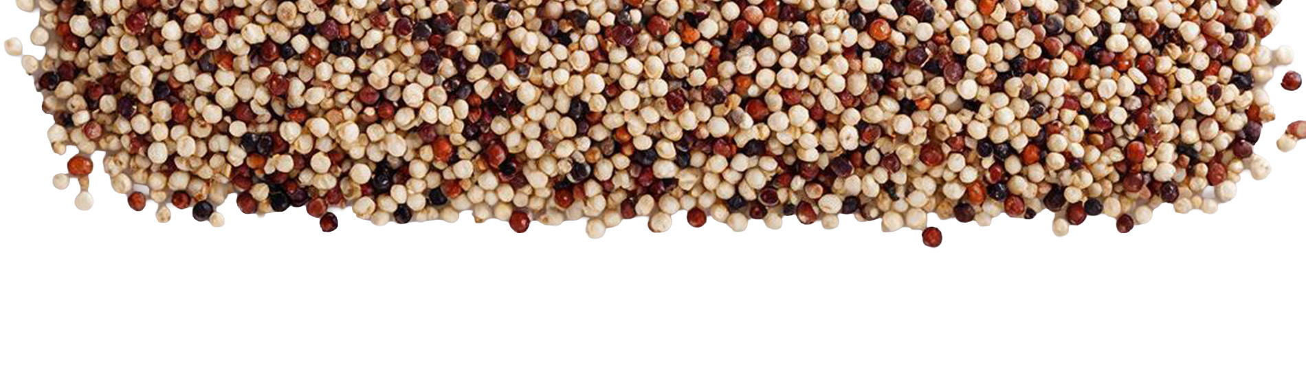 Semillas Pebema Foods